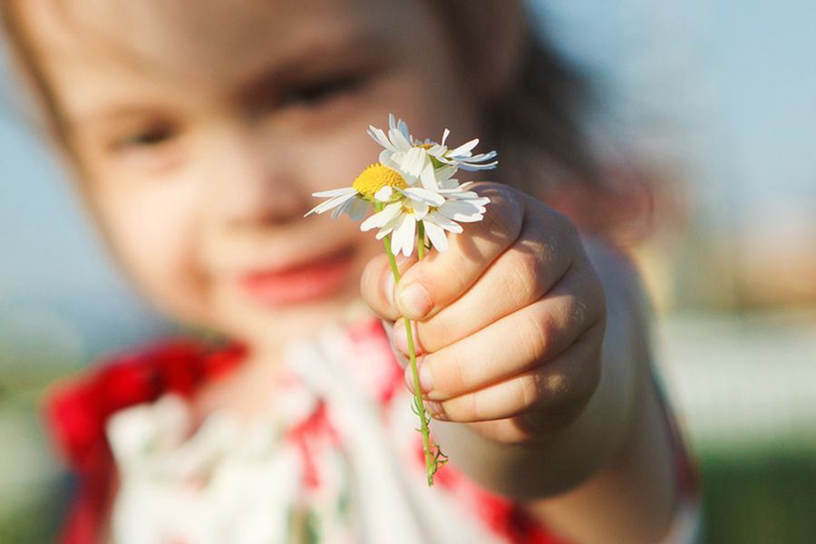 A detail shot of a girl holding daisies in her hand with a shallow depth of field, illustrating visual storytelling and types of photography shots with Photobox.
