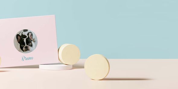 How to make a pet photo album