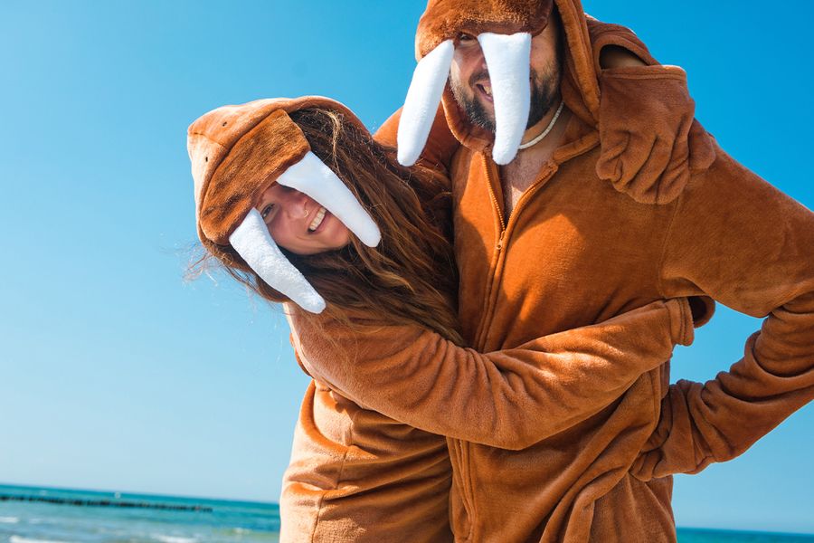 A couple in silly walrus costumes hugging while searching for funny Valentine's Day captions and what to write for Valentine's day ideas for their Photobox valentines gifts.