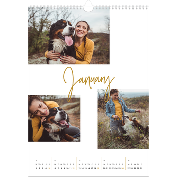 A3 Photo Calendar — Gold marker pen