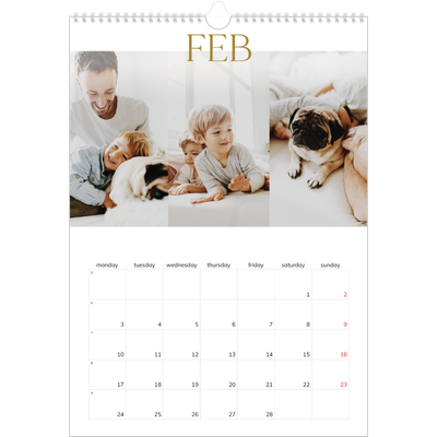 A3 photo calendars — Big gold text [February]