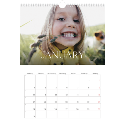 A3 photo calendars — Twelve big months [January]