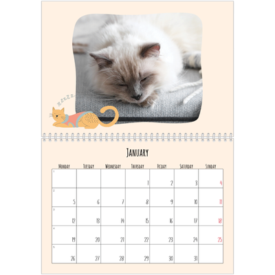 A4 Double Photo Calendar — Cat paws and doodles [January]