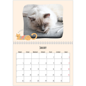 A4 Double Photo Calendar — Cat paws and doodles