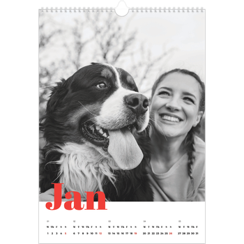 A3 Photo Calendar — A bold year