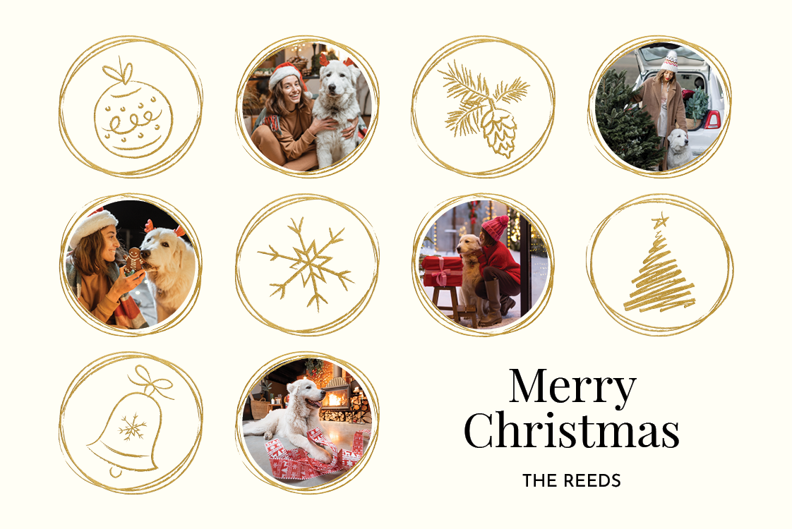 Cards — Festive circles light