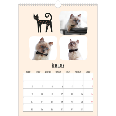 A3 photo calendars — Cat paws and doodles [February]