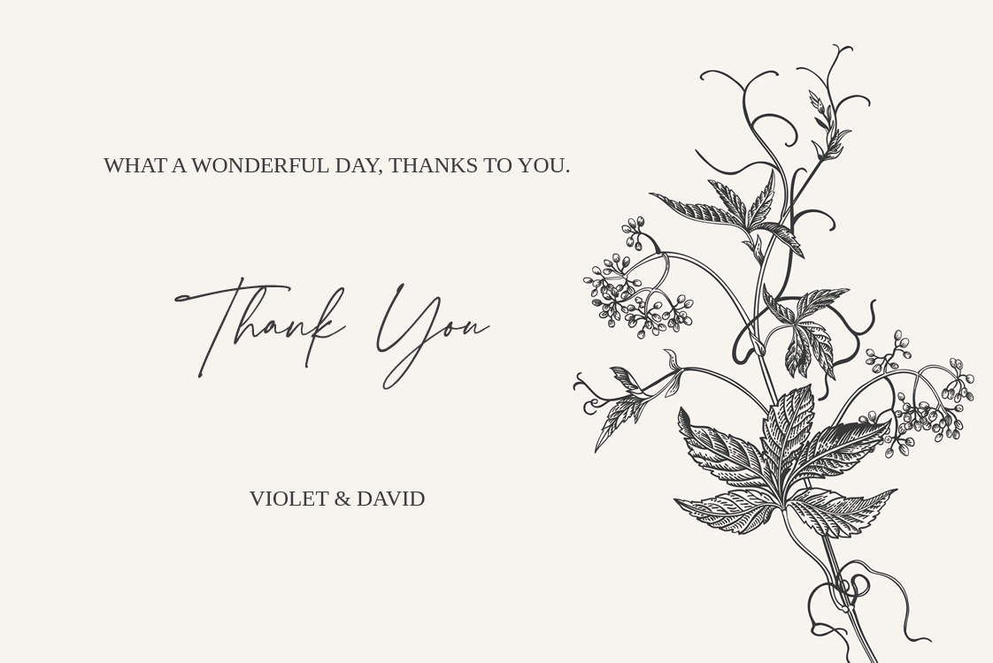 Thank you cards — Ink & ivy