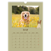 A3 photo calendars — Playful puppy [cover]
