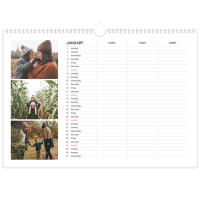Family Planners A3 Landscape — Simple Planner - Family of 3 [January]