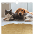 Square calendars  — Classic Gold [March]