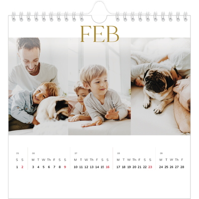 Square calendars  — Big gold text [February]