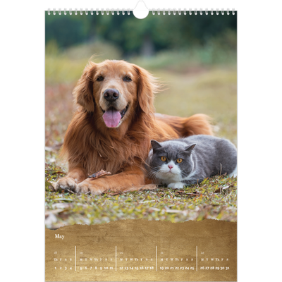 A3 photo calendars — Classic Gold [cover]