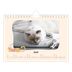 A5 Landscape Photo Calendar — Cat paws and doodles [January]