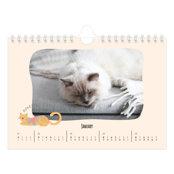 A5 Landscape Photo Calendar — Cat paws and doodles
