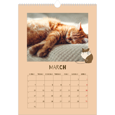 A3 photo calendars — Playful kitten [March]