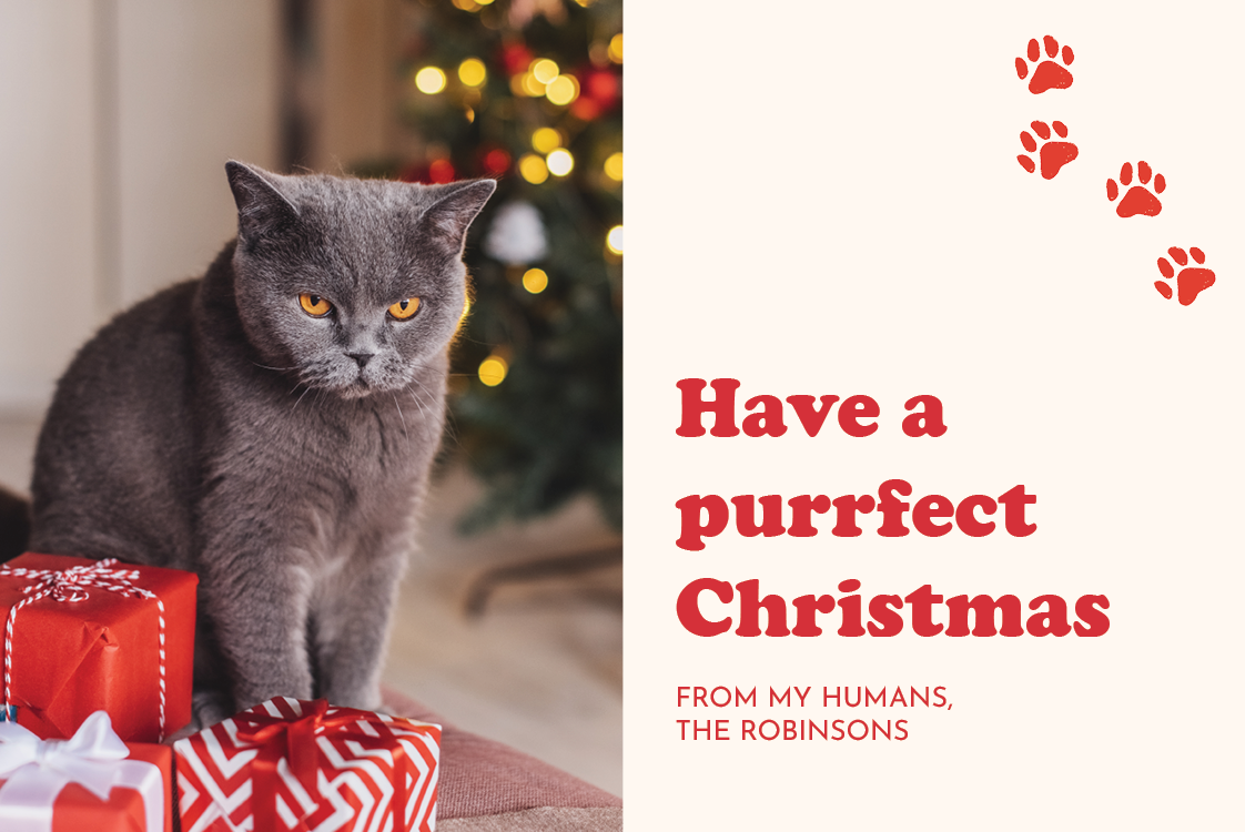 Cards — Purrfect Christmas