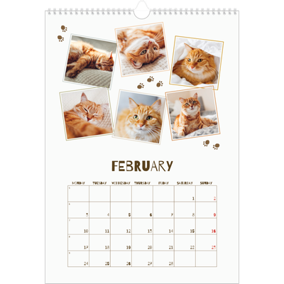 A3 photo calendars — Playful kitten [February]