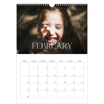 A3 photo calendars — Twelve big months [February]