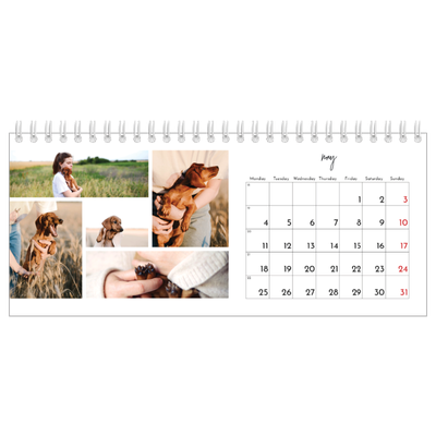 Desk calendars — Photo arrangements [cover]