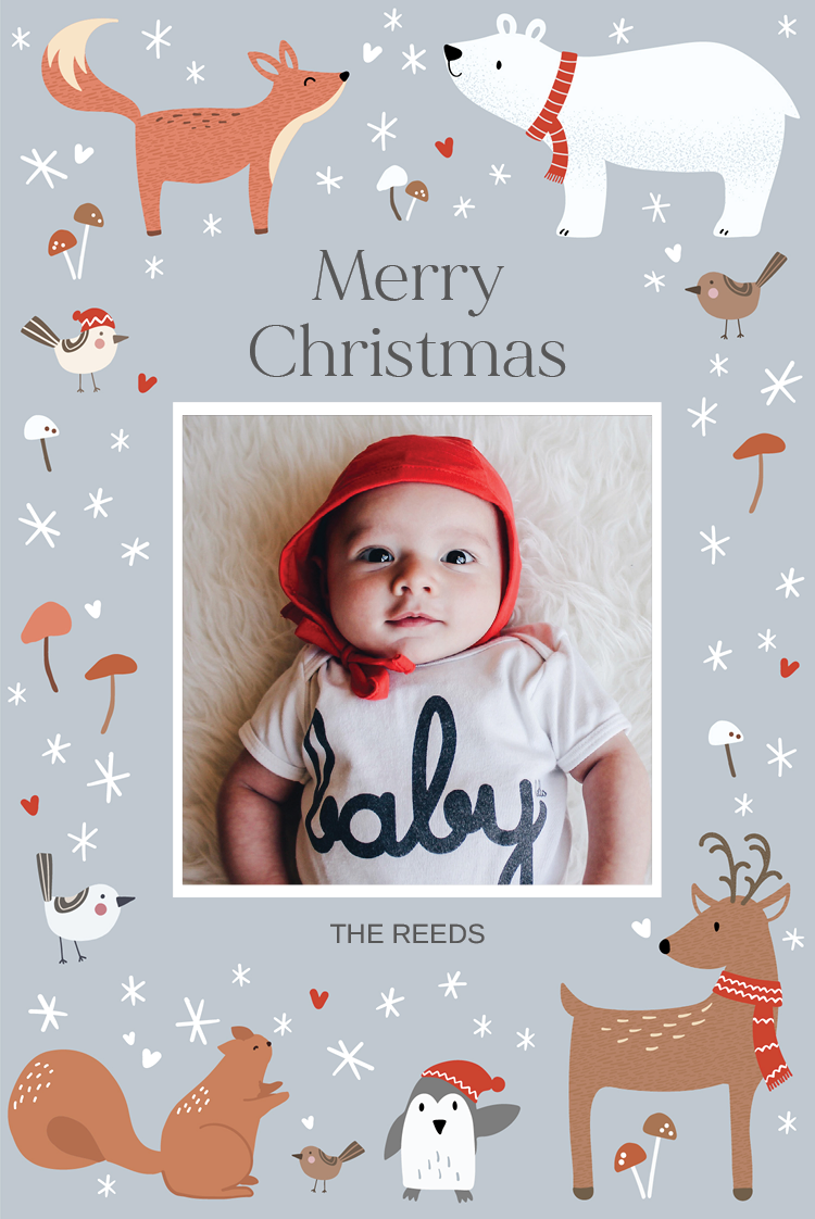 Cards — Winter woodlands