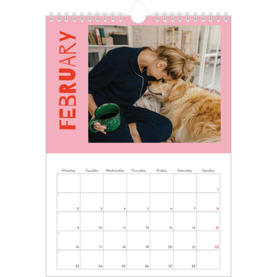 A4 Photo Calendar — Fun colourful you [February]