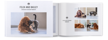 Photo Books — Puppy kitten portrait