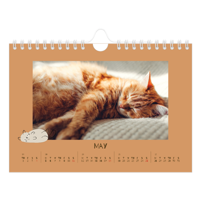 A5 Landscape Photo Calendar — Playful kitten [cover]