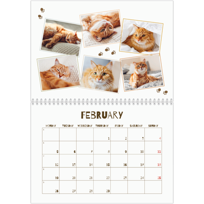 A4 Double Photo Calendar — Playful kitten [February]