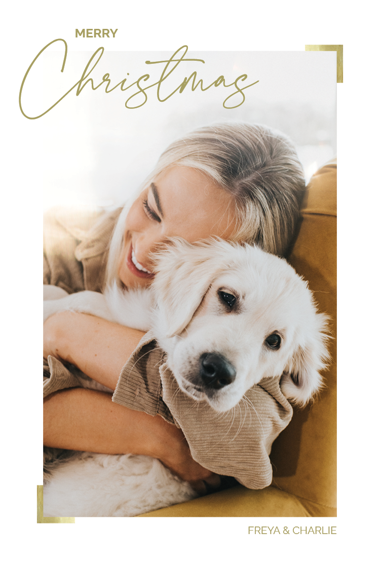 Cards — Gold details