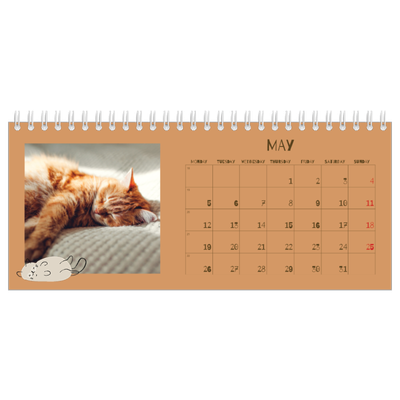 Desk calendars — Playful kitten [cover]