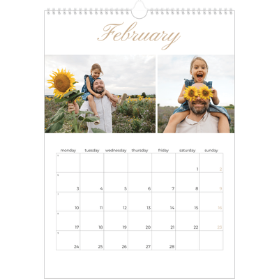 A3 photo calendars — Photo strip boxes [February]