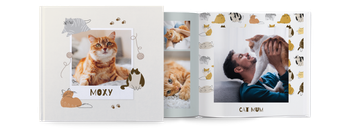 Photo Books — Playful kitten