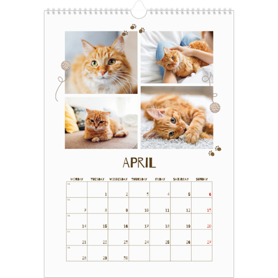 A3 photo calendars — Playful kitten [April]