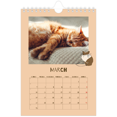 A5 Photo Calendar — Playful kitten [March]