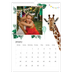 A3 photo calendars — Watercolour animals [January]
