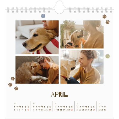 Square calendars  — Playful puppy [April]