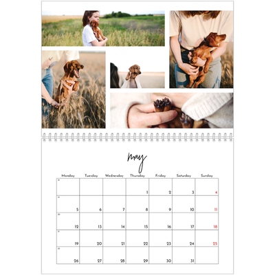 A4 Double Photo Calendar — Photo arrangements [cover]