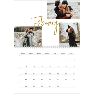 A4 Double Photo Calendar — Gold marker pen [February]