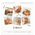 Square calendars  — Playful kitten [February]