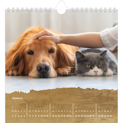 Square calendars  — Classic Gold [January]