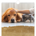 Square calendars  — Classic Gold [January]