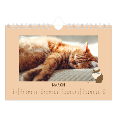 A5 Landscape Photo Calendar — Playful kitten [March]