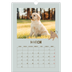 A3 photo calendars — Playful puppy [March]