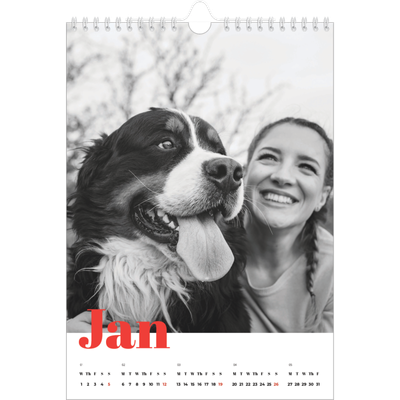 A4 Photo Calendar — A bold year [January]