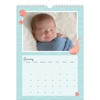 A4 Photo Calendar — Cute animals [January]