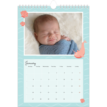 A4 Photo Calendar — Cute animals