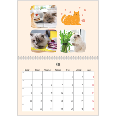A4 Double Photo Calendar — Cat paws and doodles [cover]
