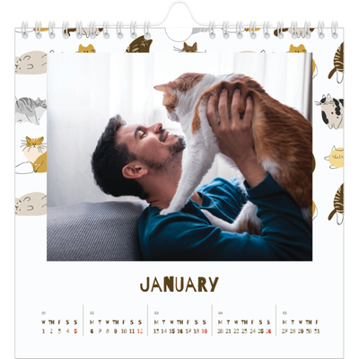 Square calendars  — Playful kitten [January]