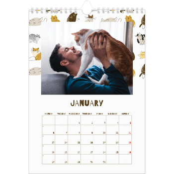 A4 Photo Calendar — Playful kitten